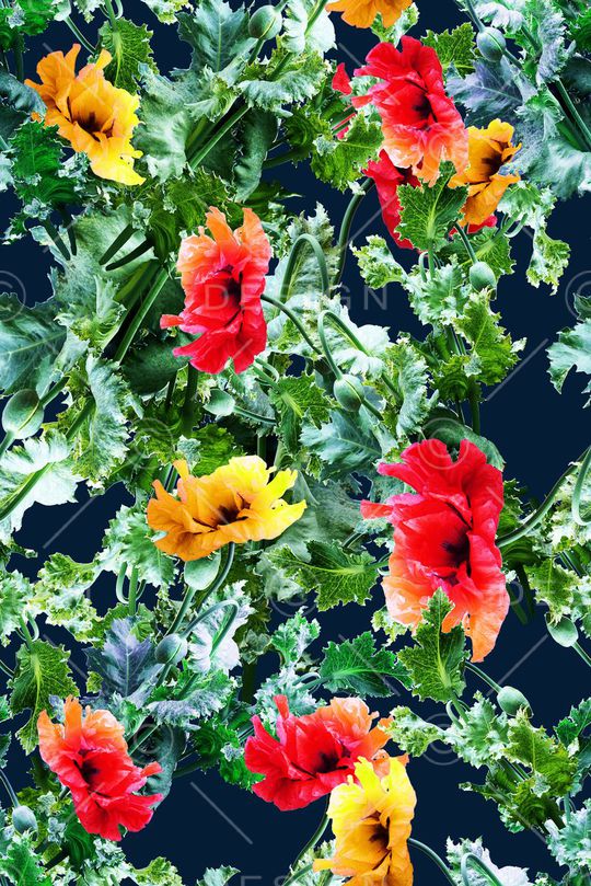 时尚女装印花华亿平台图片