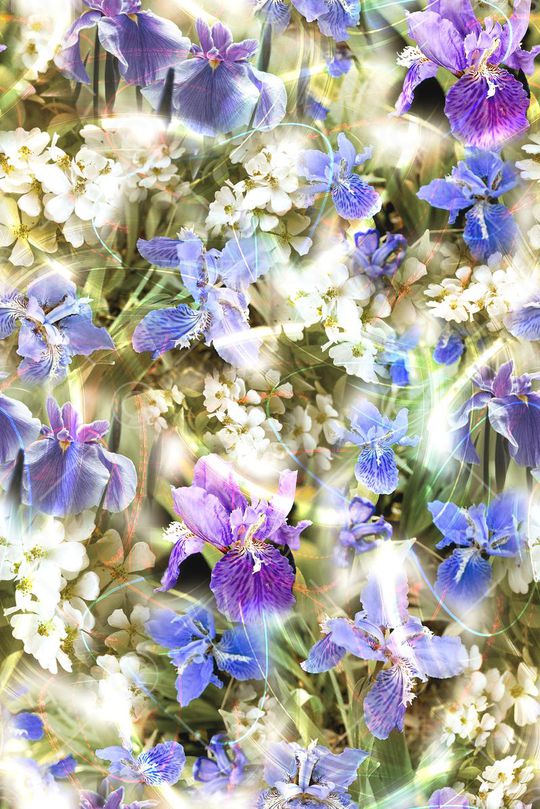 多彩印花华亿平台图片