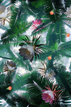 清新印花华亿平台图片