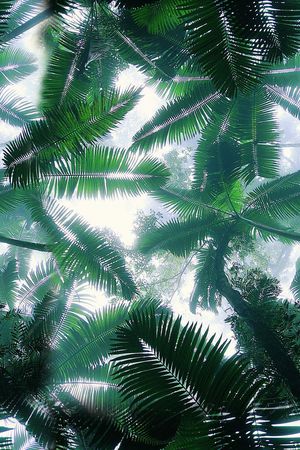 清新印花华亿平台图片