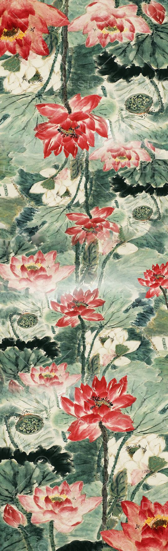 荷花印花华亿平台图片