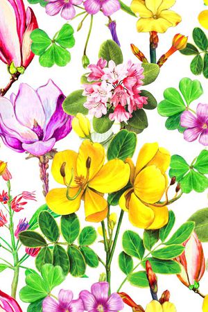 流行时尚印花华亿平台图片