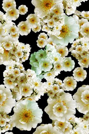 时尚女装大气印花华亿平台图片