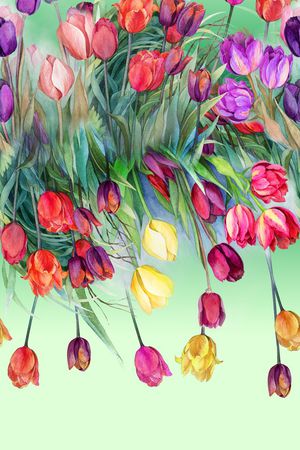 休闲 手绘郁金香印花华亿平台图片