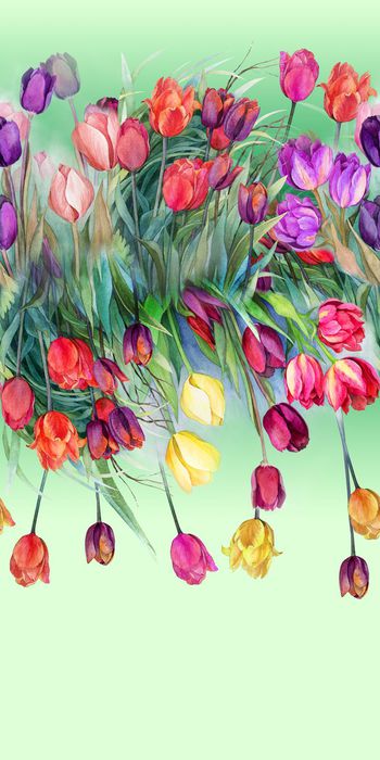 486661-大气 水彩手绘郁金香 休闲风