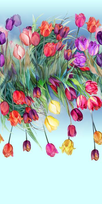 486663-大气 水彩手绘郁金香 休闲风