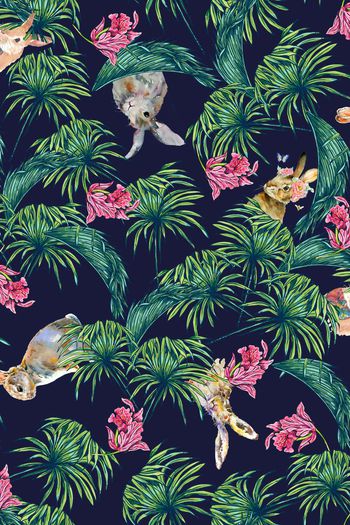 486666-手绘写意可爱兔子   热带雨林 