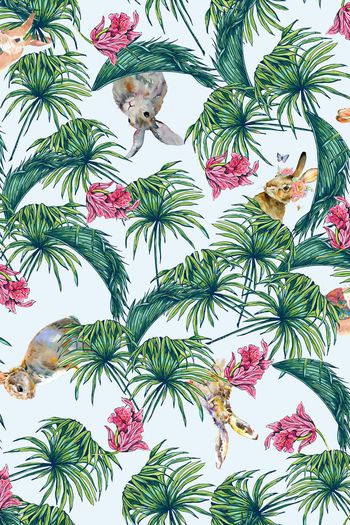 486669-手绘写意可爱兔子   热带雨林 