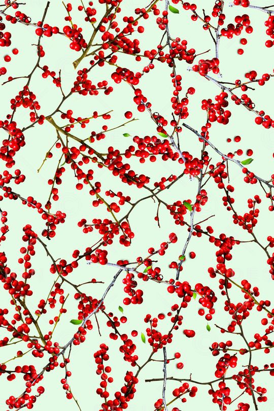 抽象 树枝 果实 手绘印花华亿平台图片