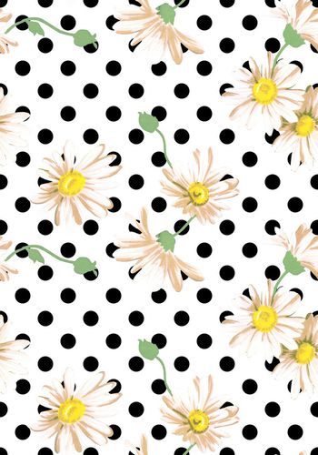 486799-波点菊花 花卉 热带花卉 花朵 花