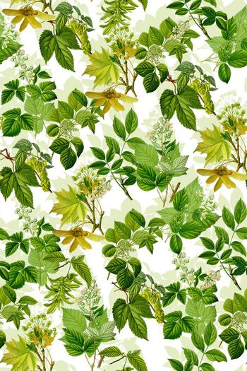 486812-田园风绿色植物树叶男装女装华亿平台