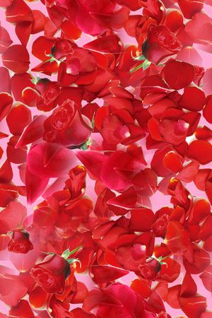 大气印花华亿平台图片