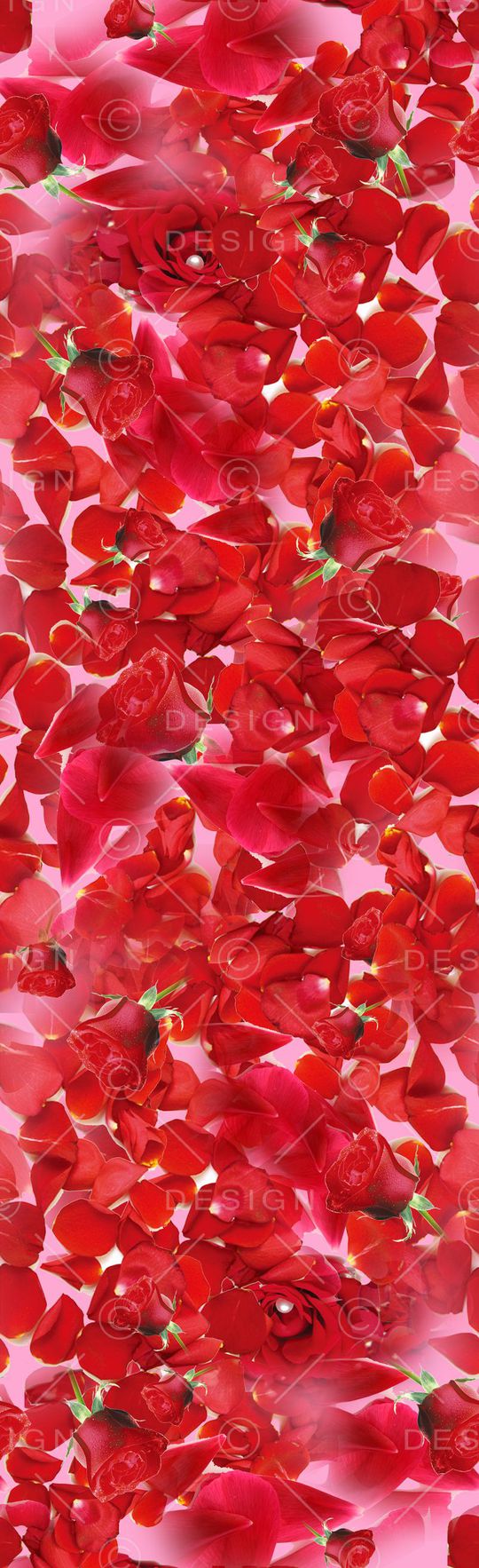 大气印花华亿平台图片