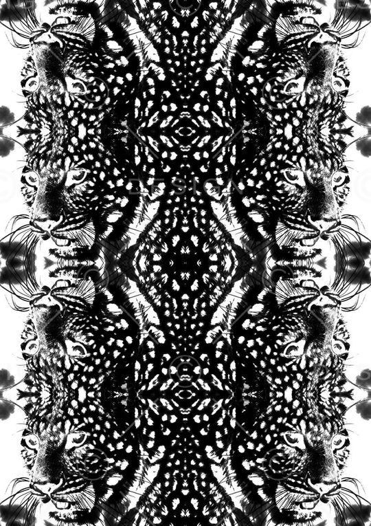 大牌印花华亿平台图片