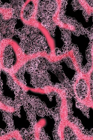 线条印花华亿平台图片