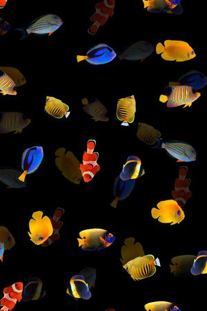 潮流印花华亿平台图片