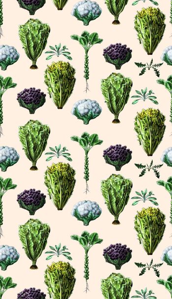 487331-手绘植物蔬菜花卉