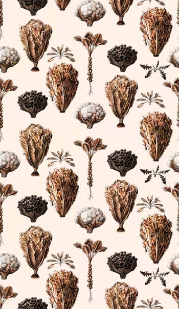 487332-手绘植物蔬菜花卉