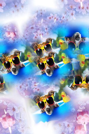 狗狗印花华亿平台图片