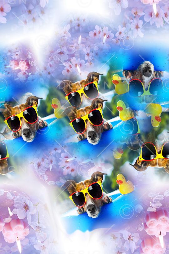 狗狗印花华亿平台图片