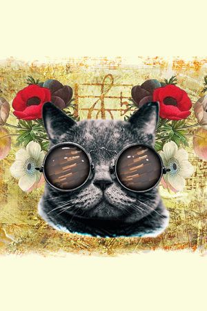 男女装印花华亿平台图片