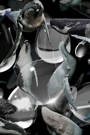 T恤卫衣夹克印花华亿平台图片