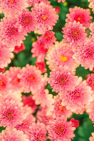 潮流时尚花印花华亿平台图片