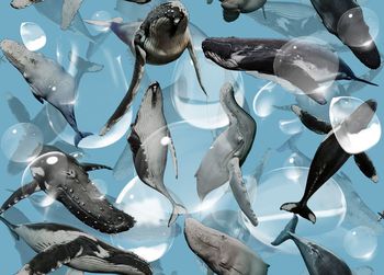 487572-	潮流时尚鲸鱼水泡创意数码印花