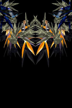 潮流时尚印花华亿平台图片