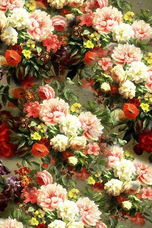 杜鹃印花华亿平台图片