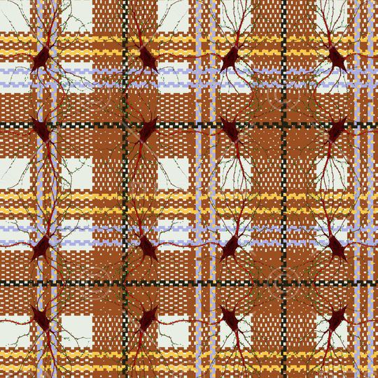 格子印花华亿平台图片