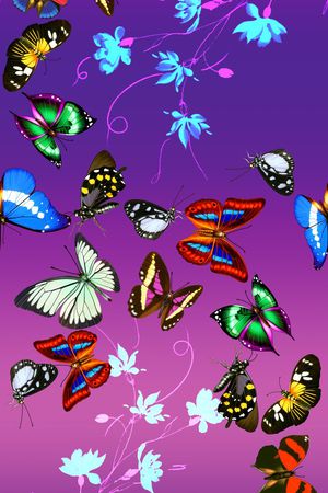 创意服装面料印花华亿平台图片