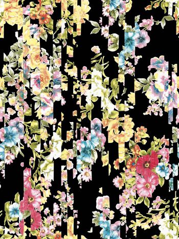 488015-原创条纹黑白底花卉