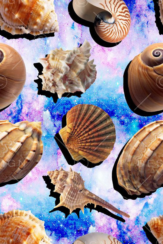 贝壳印花华亿平台图片