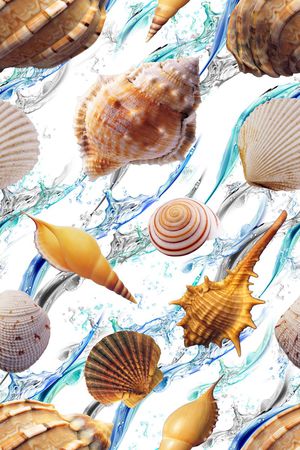 贝壳印花华亿平台图片