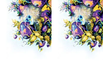 488090-原创时尚水果定位华亿平台