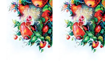 488092-原创时尚水果定位华亿平台