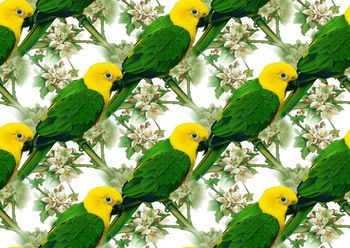 花鸟印花华亿平台图片