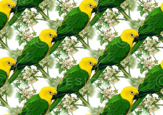 花鸟印花华亿平台图片