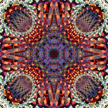 488371-混沌与秩序