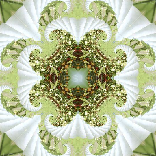 对称印花华亿平台图片