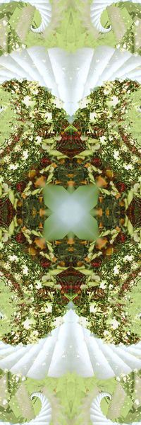 对称印花华亿平台图片