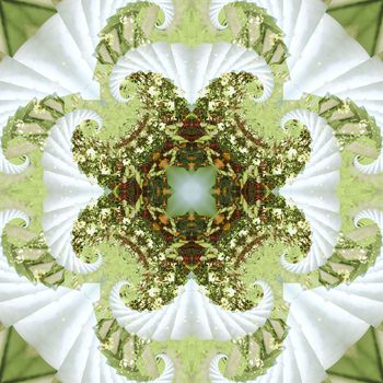 488386-混沌与秩序