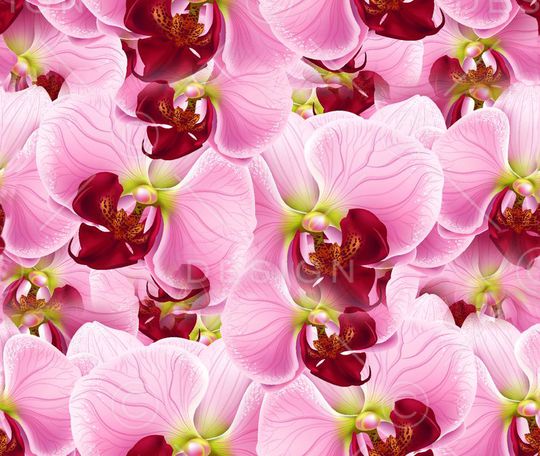 花印花华亿平台图片