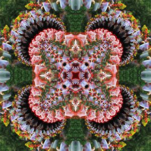 抽象印花华亿平台图片