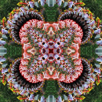 488392-混沌与秩序