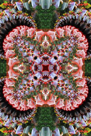 抽象印花华亿平台图片