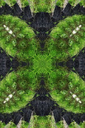 对称印花华亿平台图片