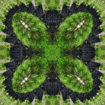 488454-混沌与秩序