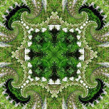 488459-混沌与秩序